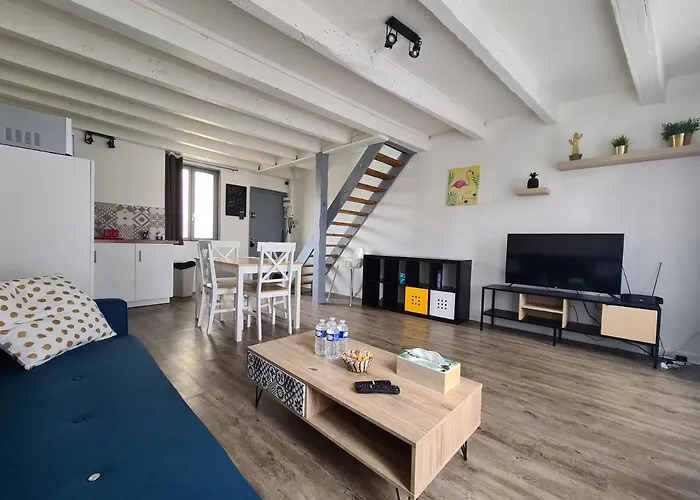 Appartement Les Cosy De - Le Duplex Aux Flammants Roses - 4etoiles