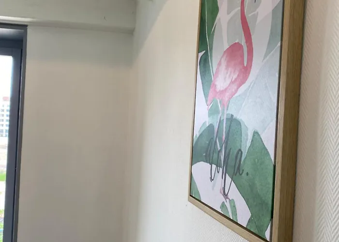 Les Cosy De - Le Duplex Aux Flammants Roses - 4etoiles Nancy